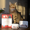 Valisette de friandises de Noël pour chat