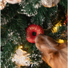 Deux Beignets Woofmas – Édition de Noël pour Chiens 🎁 Cooka Cookies
