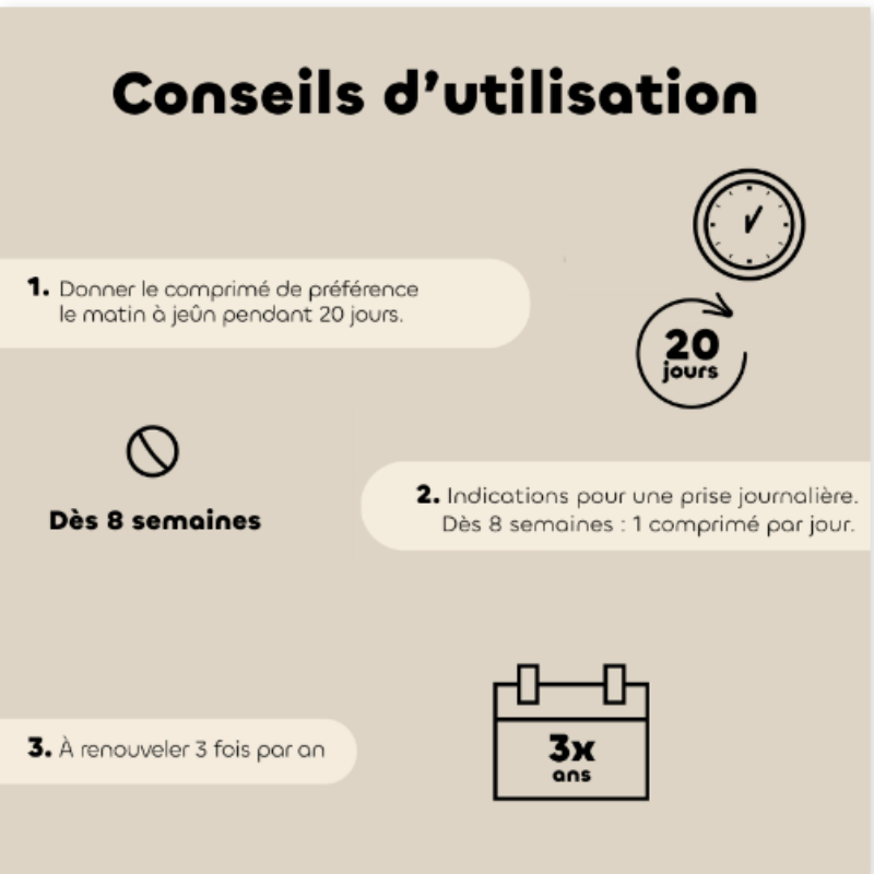 Comprimés Régul’Transit – Chien - L’allié naturel du microbiote intestinal