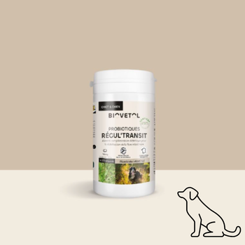 Comprimés Régul’Transit – Chien - L’allié naturel du microbiote intestinal