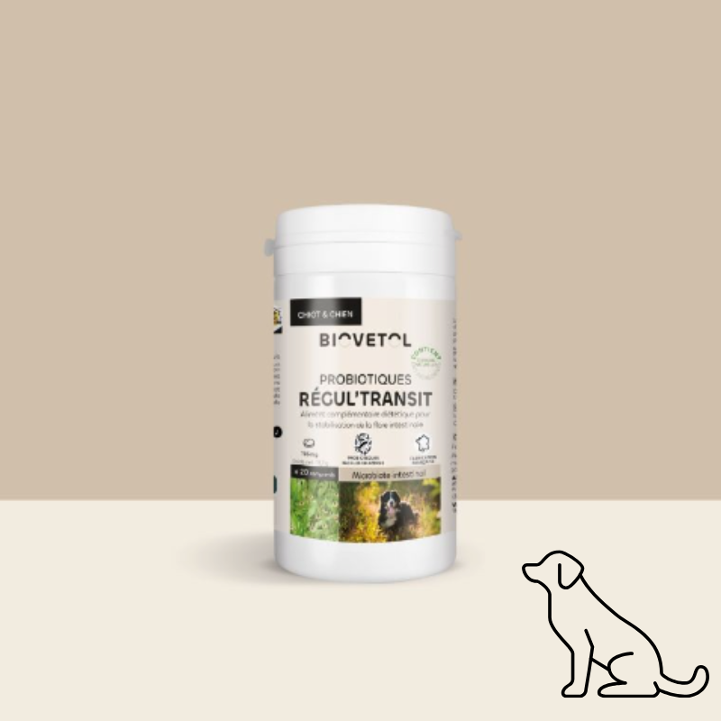 Comprimés Régul’Transit – Chien - L’allié naturel du microbiote intestinal