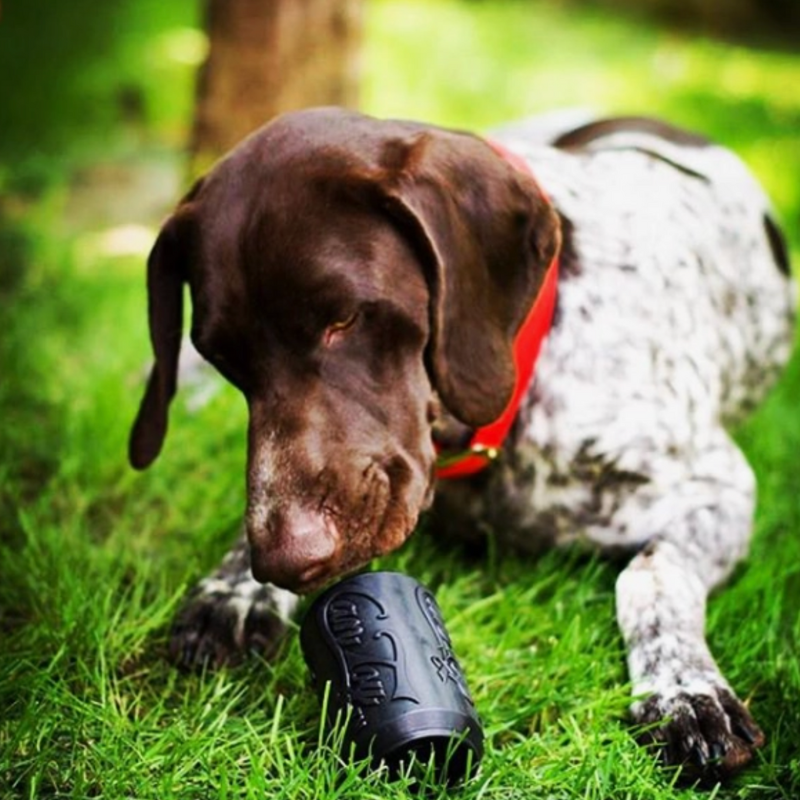 Distributeur de friandises en nylon (chien masticateur puissant) - Canette Noire - SodaPup