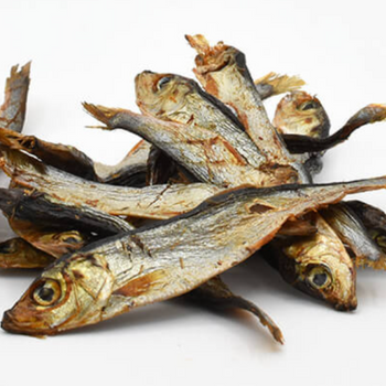 Sprats séchés de la mer Baltique pour chien