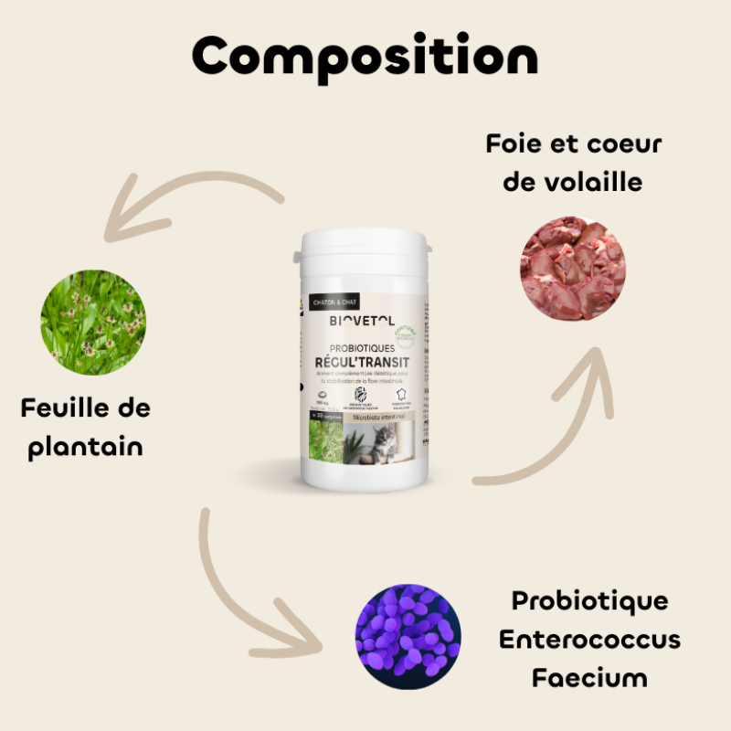 Comprimés Régul'Transit Chat – L’allié naturel du microbiote intestinal