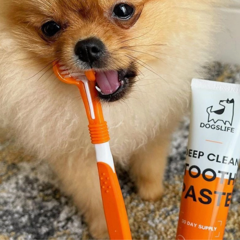 Trousse dentaire complète (brosse à dent + dentifrice + brosses à doigt)