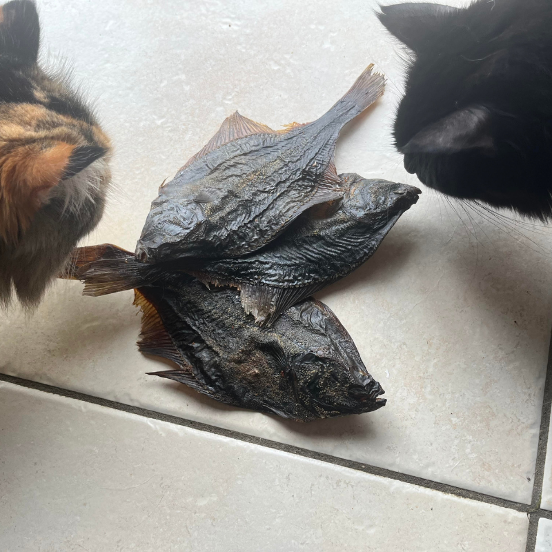 Flétans entiers séchés pour tous les chiens