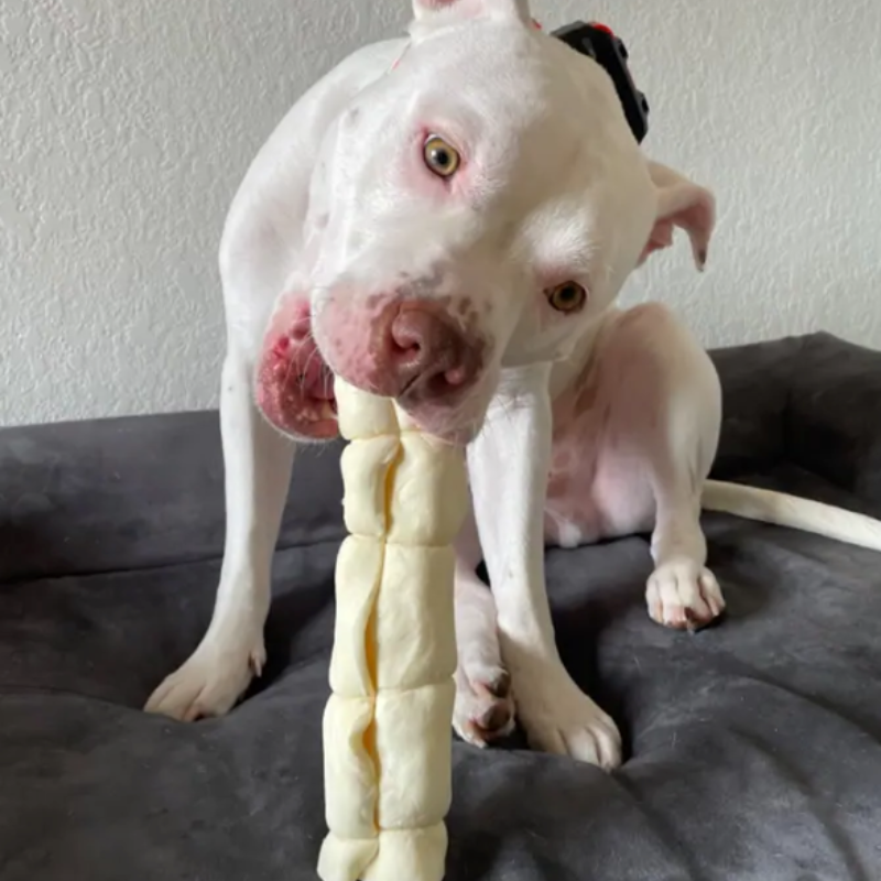 4 Joues de bœuf roulée séchée pour chien - Mâcheur expert