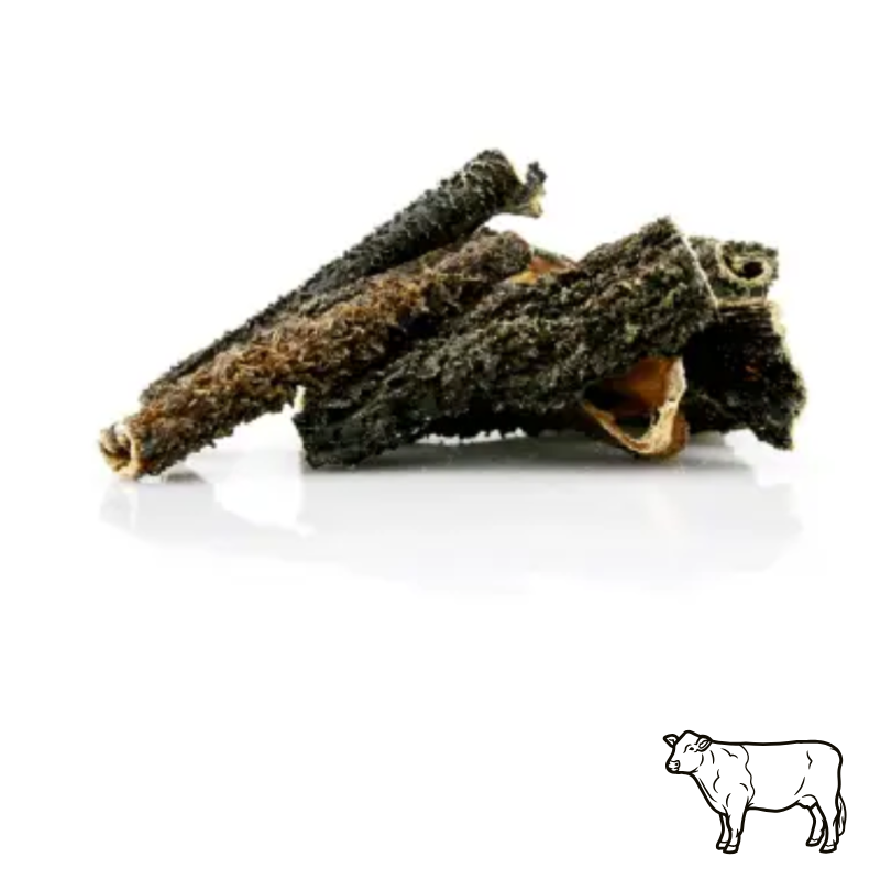 Panses (tripes) de boeuf pour chiens ( faciles à déguster )