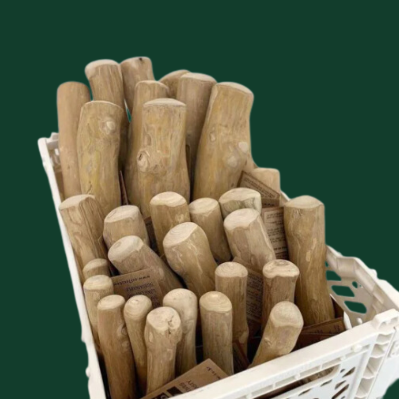 Bâton en bois de café pour chien