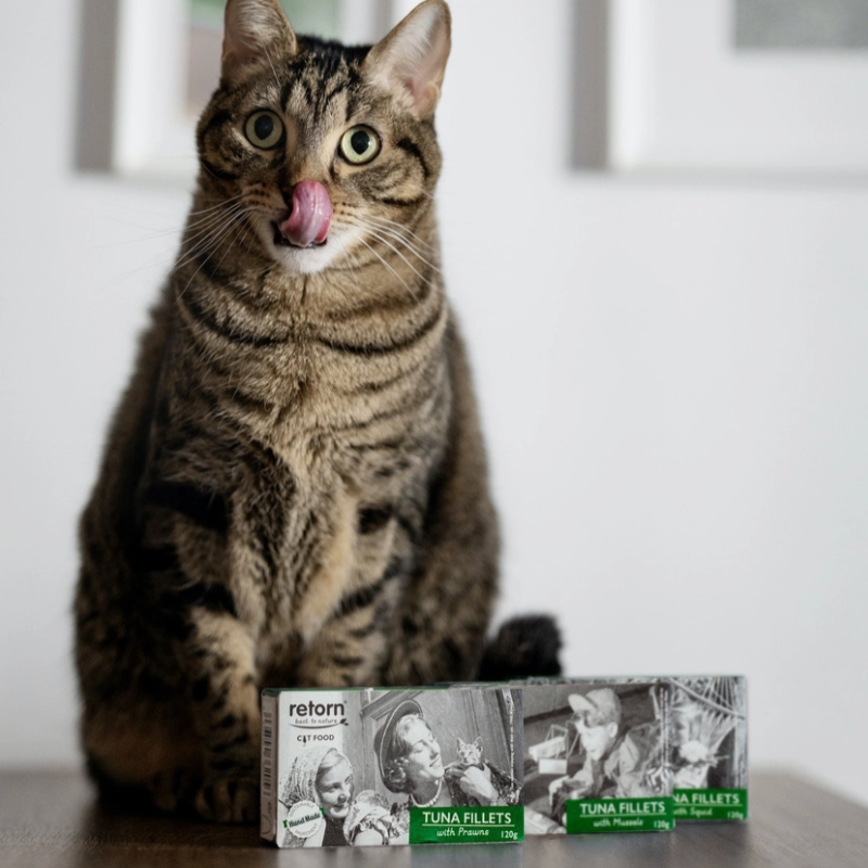 Filet de thon - pour chats et chatons (aux moules, crevettes ou saumon) 120 gr