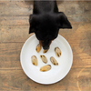 Moules à lèvres vertes de Nouvelle-Zélande