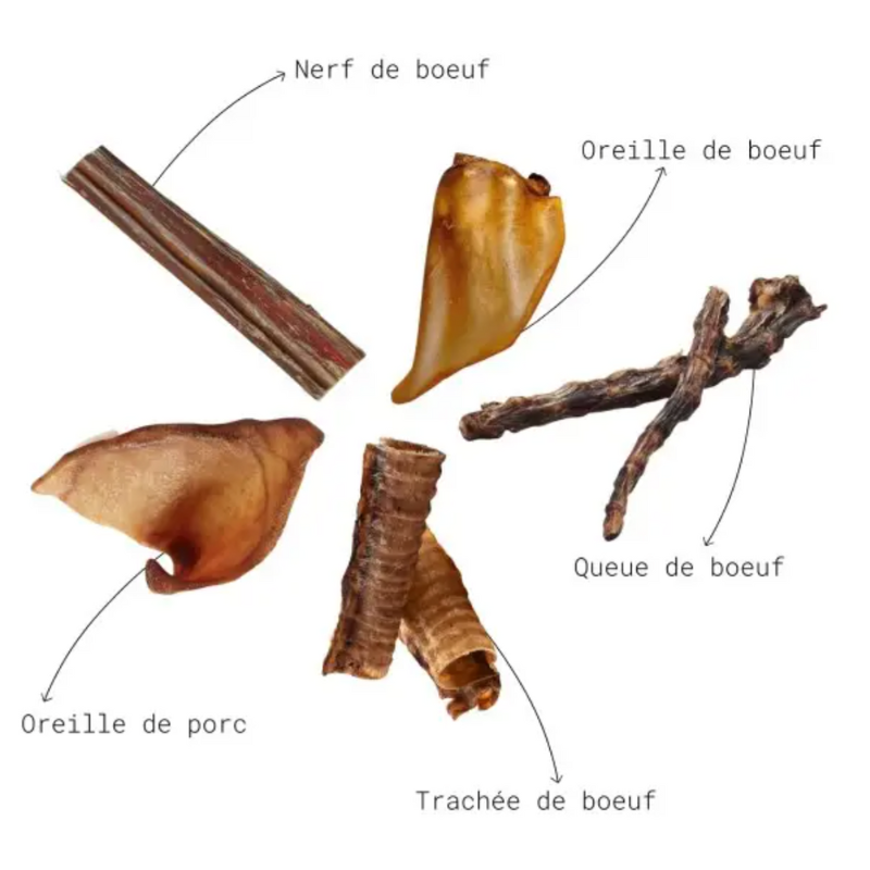 Box Mastication variée de longue durée