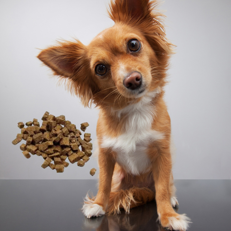 Friandises d'éducation 100 % viande - canard, boeuf, agneau, lapin, chèvre, cerf, poulet - 100 gr à 1 kg