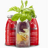 Smoothie pour chien - Rind- Boeuf, betterave et carottes