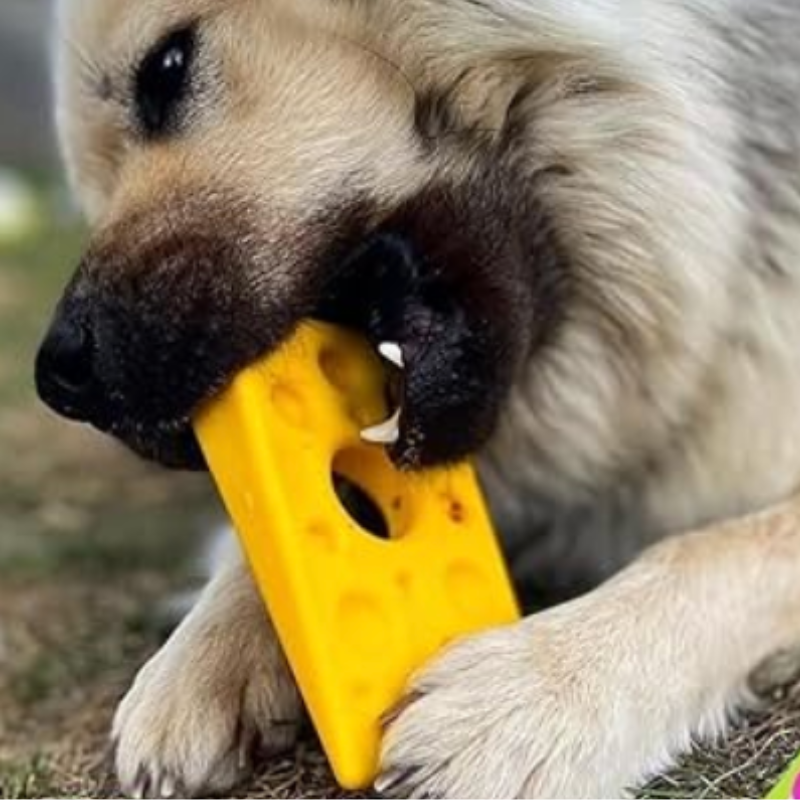 Jouet à mâcher et à tartiner "Fromage Suisse" SodaPup