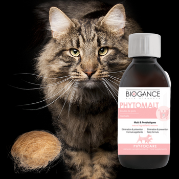 Complément alimentaire - Boules de poils chat - Malt&Paraffine