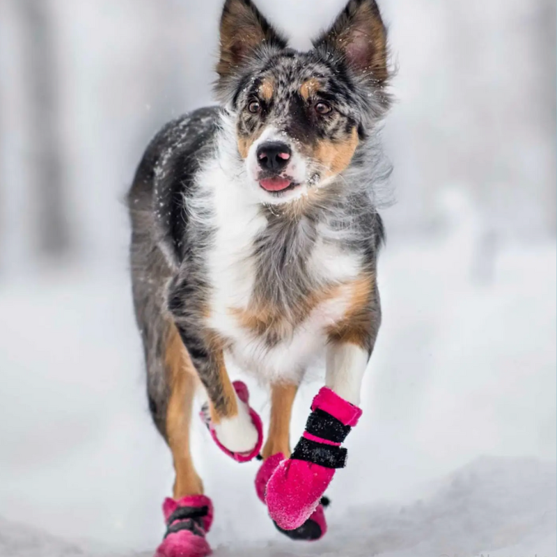 Chaussons d'hiver spécial Neige (4 par paquet)