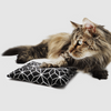 Coussin XXL relaxant de valériane pure pour chat