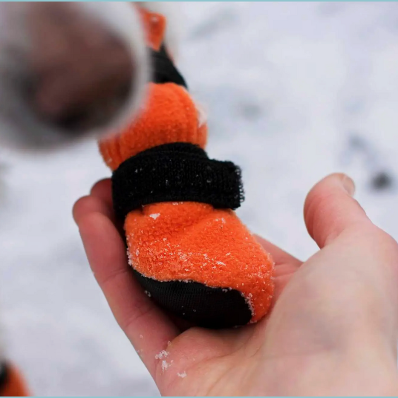 Chaussons d'hiver spécial Neige (4 par paquet)