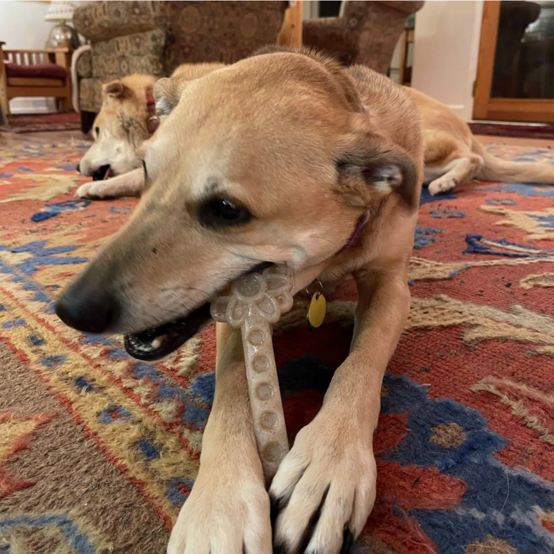 Jouet de mastication pour chien (moyen mâchouilleur) Flower Tower