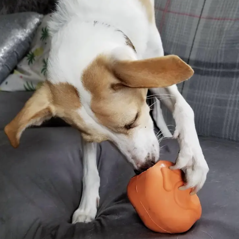 Distributeur de friandises - dinde rôtie