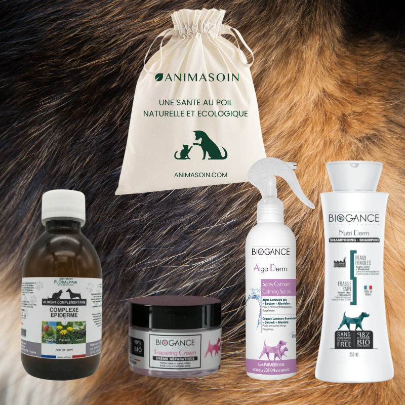 Coffret Soin Epiderme - Irritations cutanées -  chien 🐶