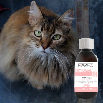 Complément alimentaire - Boules de poils chat - Malt&Paraffine