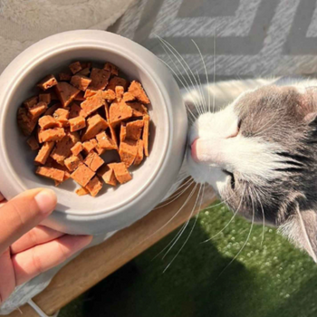 Repas complet - Saucisson BARF cuit Qru pour chat – Poulet, poisson ou boeuf - 200 gr