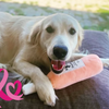 🎀 Box Octobre Rose – Le coffret solidaire pour chiens - Montant reversé