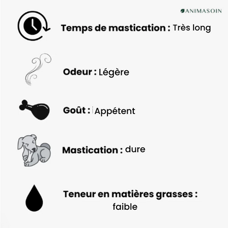 Nerfs de bœuf de 12cm/30cm (Bully Stick) - Mastication longue durée