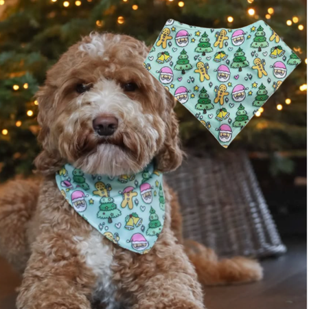 Bandana de Noël pour Chien – Jolly Santa