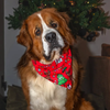 Bandana de Noël pour Chien – Merry Reindeer