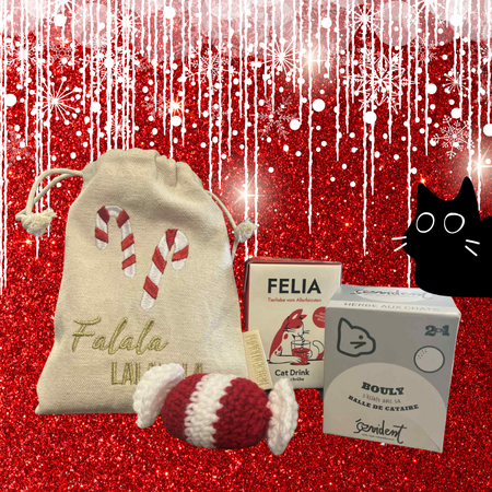 🎁 Coffrets Cadeaux de Noël pour Chats – Animasoin Edition Limitée 🐈