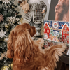 Calendrier de l'Avent pour chien - Gourmandises premium faites maisons et naturelles de Cooka Cookies
