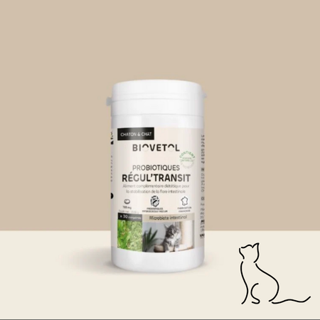 Comprimés Régul'Transit Chat – L’allié naturel du microbiote intestinal