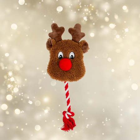 🦌 Rudolfou le Rêne câlin – Jouet de Noël pour chien