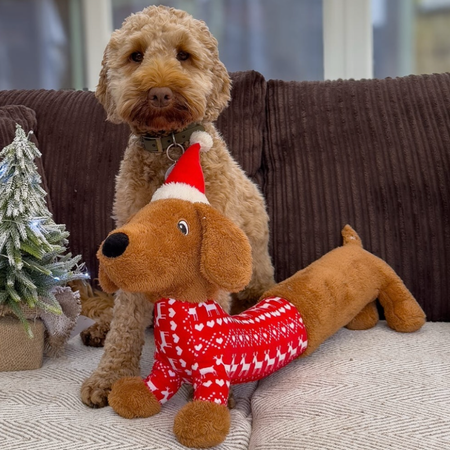 🎅 Maxou le Teckel de Noël – Grande Peluche Couineuse (60 cm)