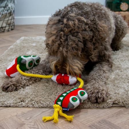 🚂 Le P’tit Train de Noël – Jouet en peluche avec corde pour chien (78 cm)