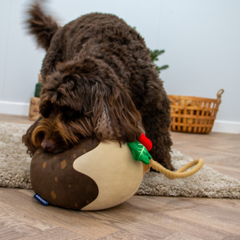 🍮 Pudding le Gourmand – Grande peluche douce pour chien (30 cm)