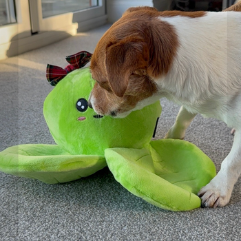 🥦 Chouquette la P’tite Chou – Jouet en peluche crissante et sonore (35 cm)