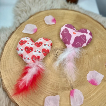 Petit Cœur d’Herbe pour chat - Artisanal - Lille