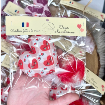 Petit Cœur d’Herbe pour chat - Artisanal - Lille