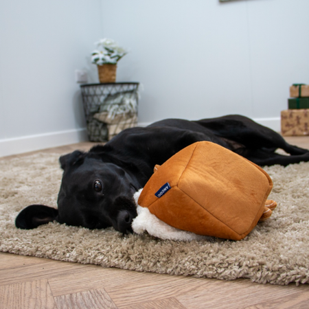🍪 La Maison Pain d’Épices – Jouet de Noël pour chien