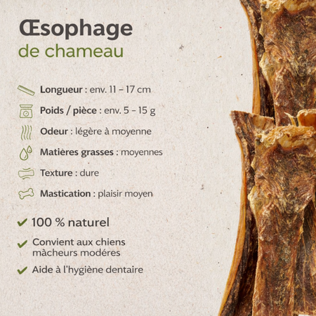 Gorge de Chameau – Friandise naturelle & peu calorique
