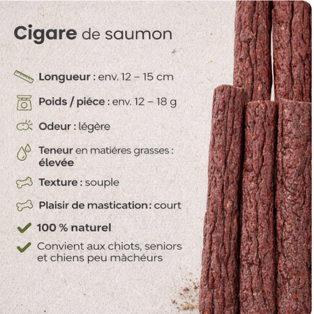 Cigare au saumon - mastication courte & gourmande