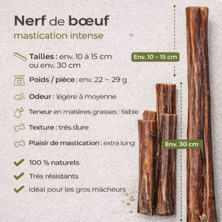 Nerfs de bœuf de 12cm/30cm (Bully Stick) - Mastication longue durée