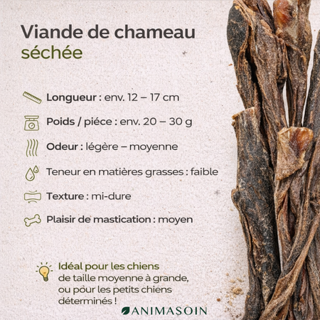 🐪 Viande de chameau séchée – faible en gras
