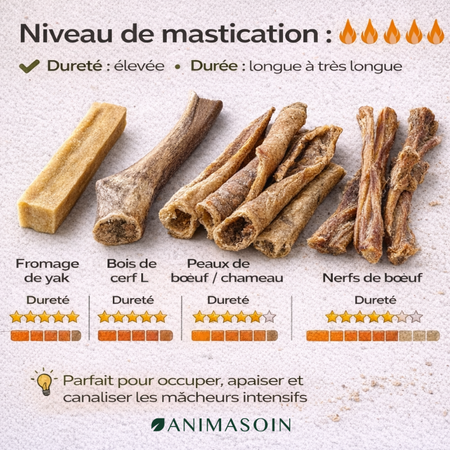 MastiBox mâcheurs intensifs - Longue durée