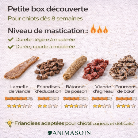 Box Mastication Découverte ! Ses premières mastications (à partir de 2 mois)