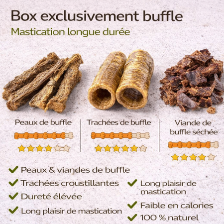 Box de mastication au Buffle 🐃
